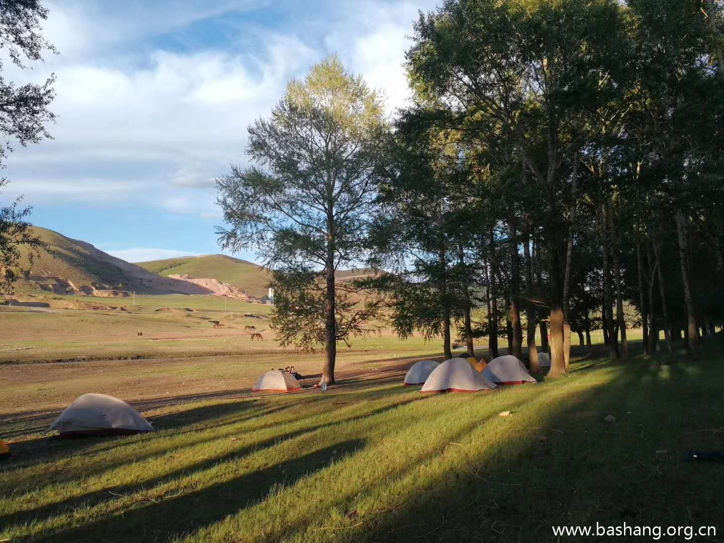 壩上草原團建項目 壩上草原團建項目