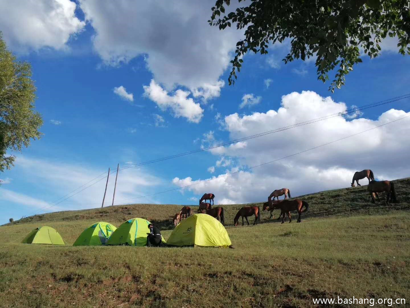壩上草原團建項目 壩上草原團建項目
